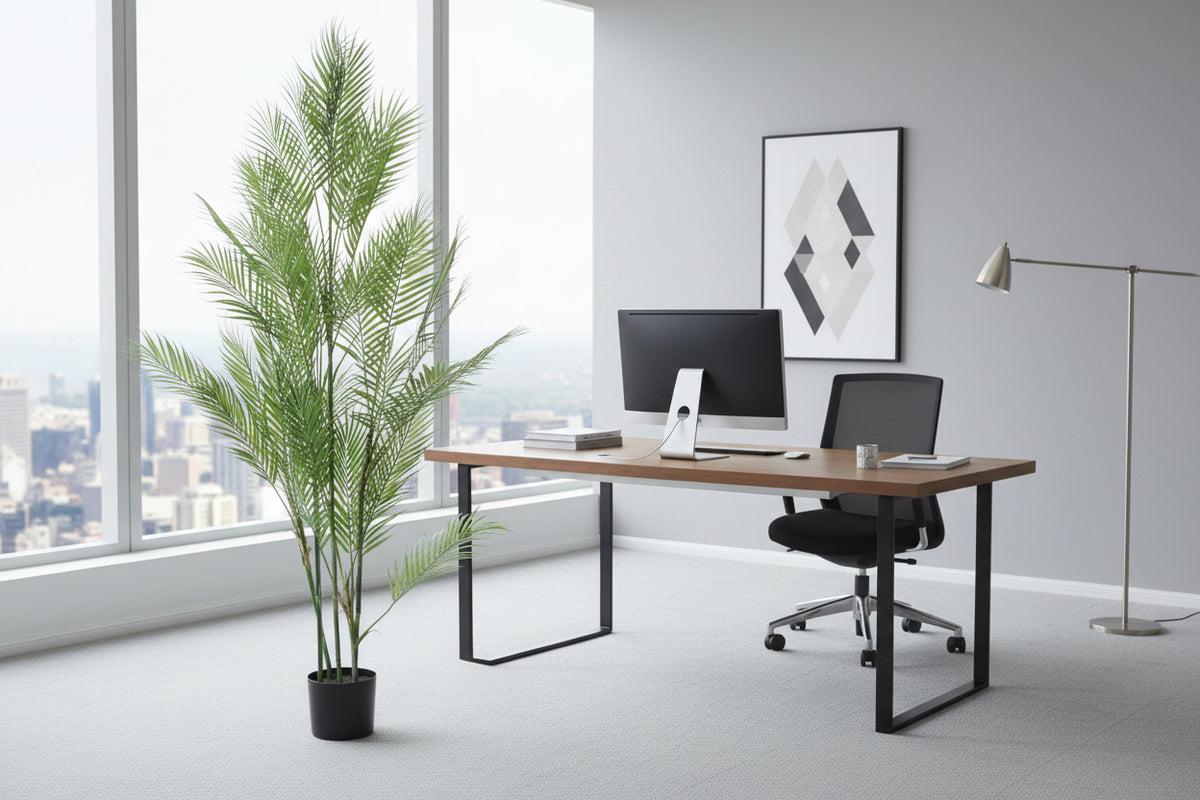 PALMA ARECA EN MACETA