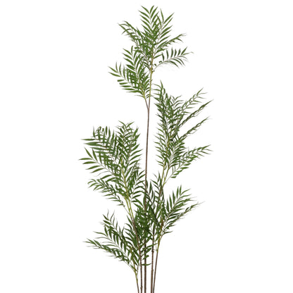 ARBOL LICUALO