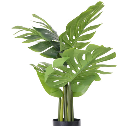 MACETA MONSTERA