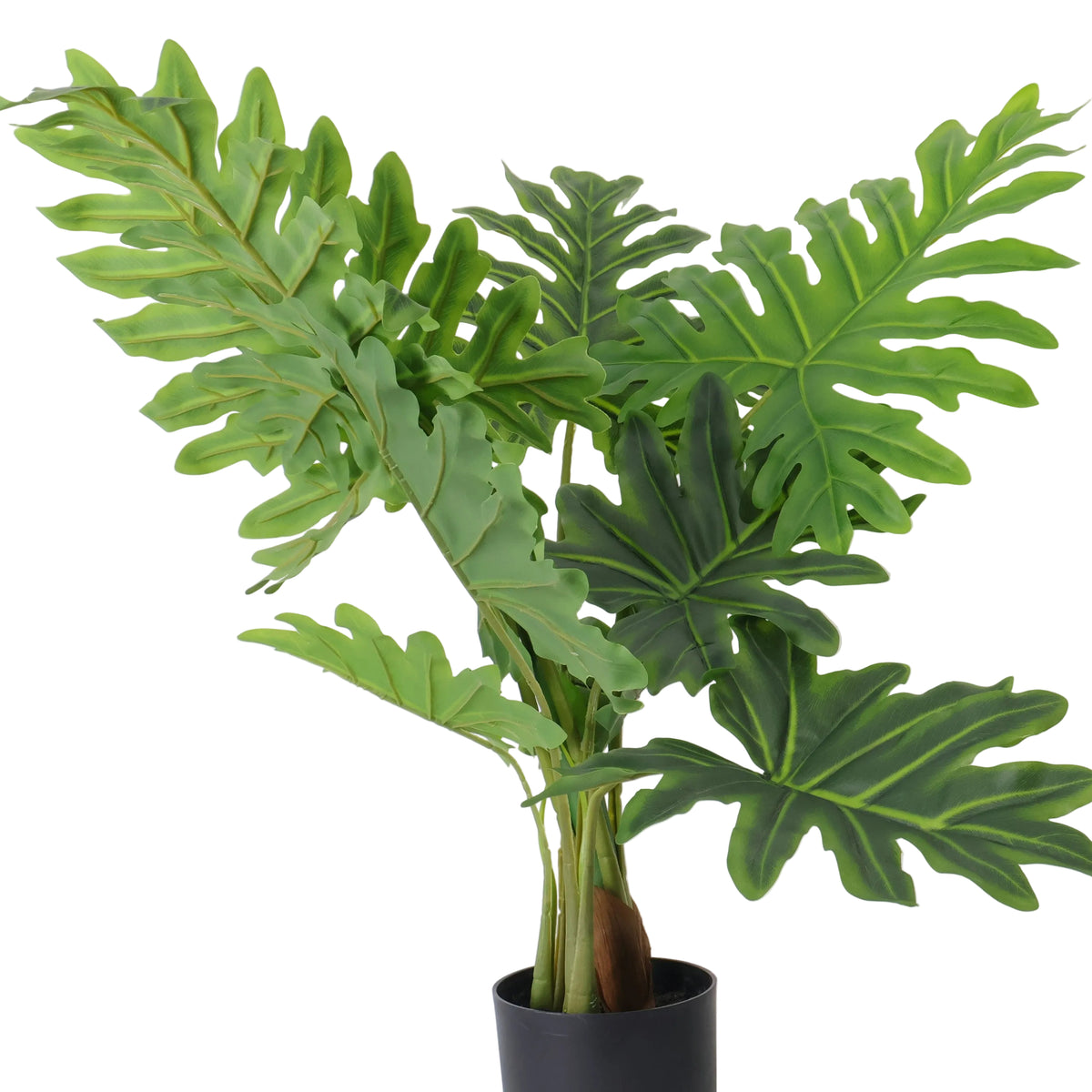 Planta Decorariva Happy