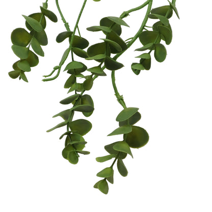 EUCALYPTUS GRASS VERDE