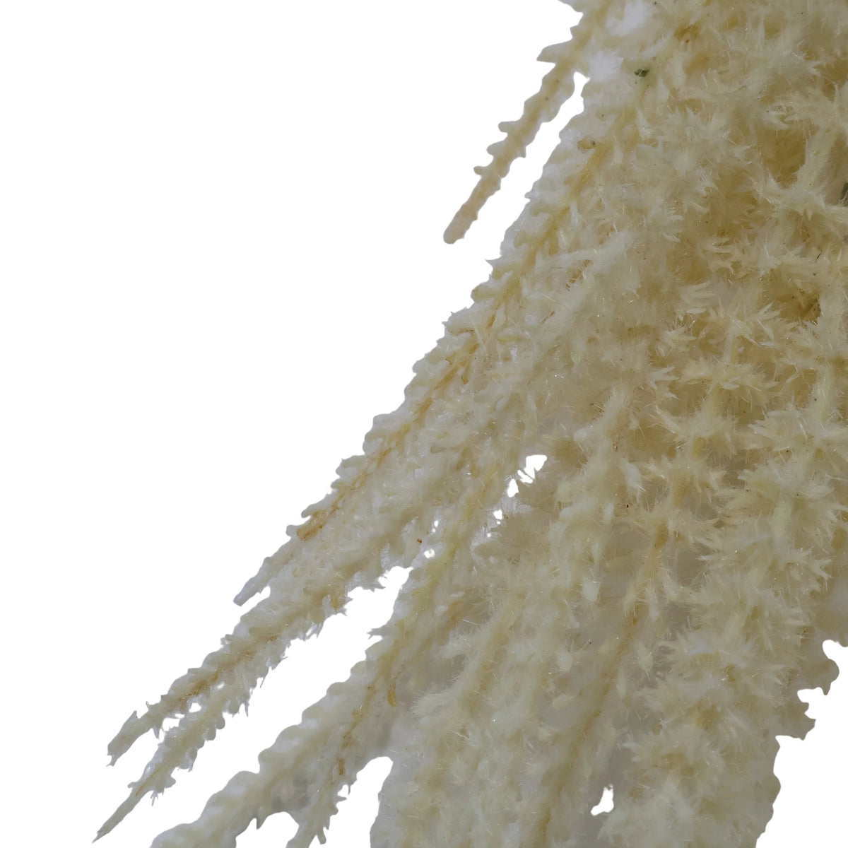 FOLLAJE SORGO BEIGE