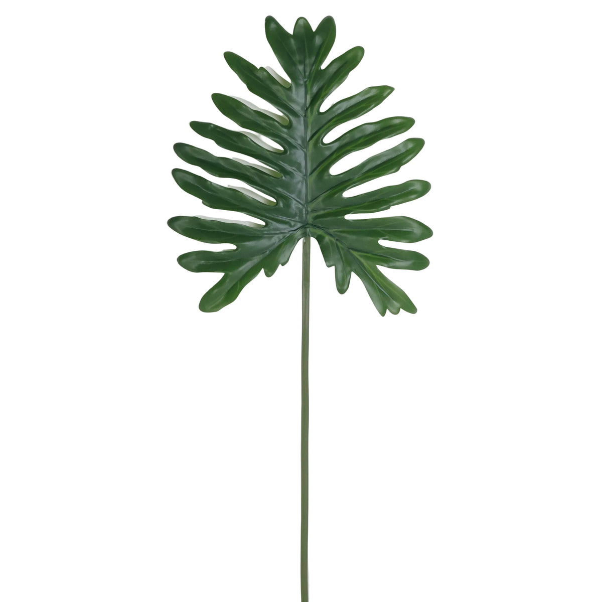 FOLLAJE HOJA DE FILODENDRO