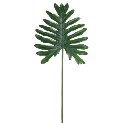 FOLLAJE HOJA DE FILODENDRO