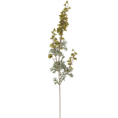 CEREZO VERDE