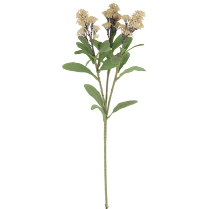 FLOR BRANCH CREMA