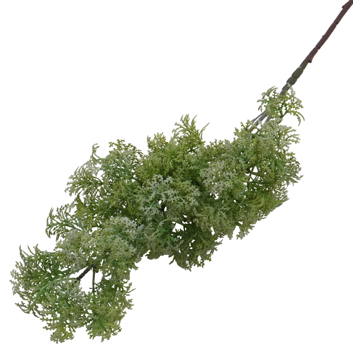 PLUSH GRASS VERDE