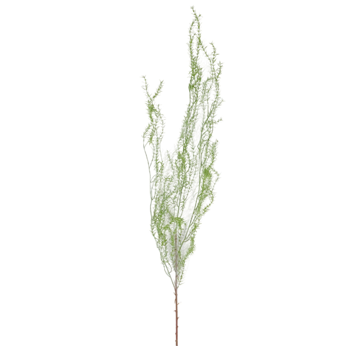 SNAKE GRASS VERDE