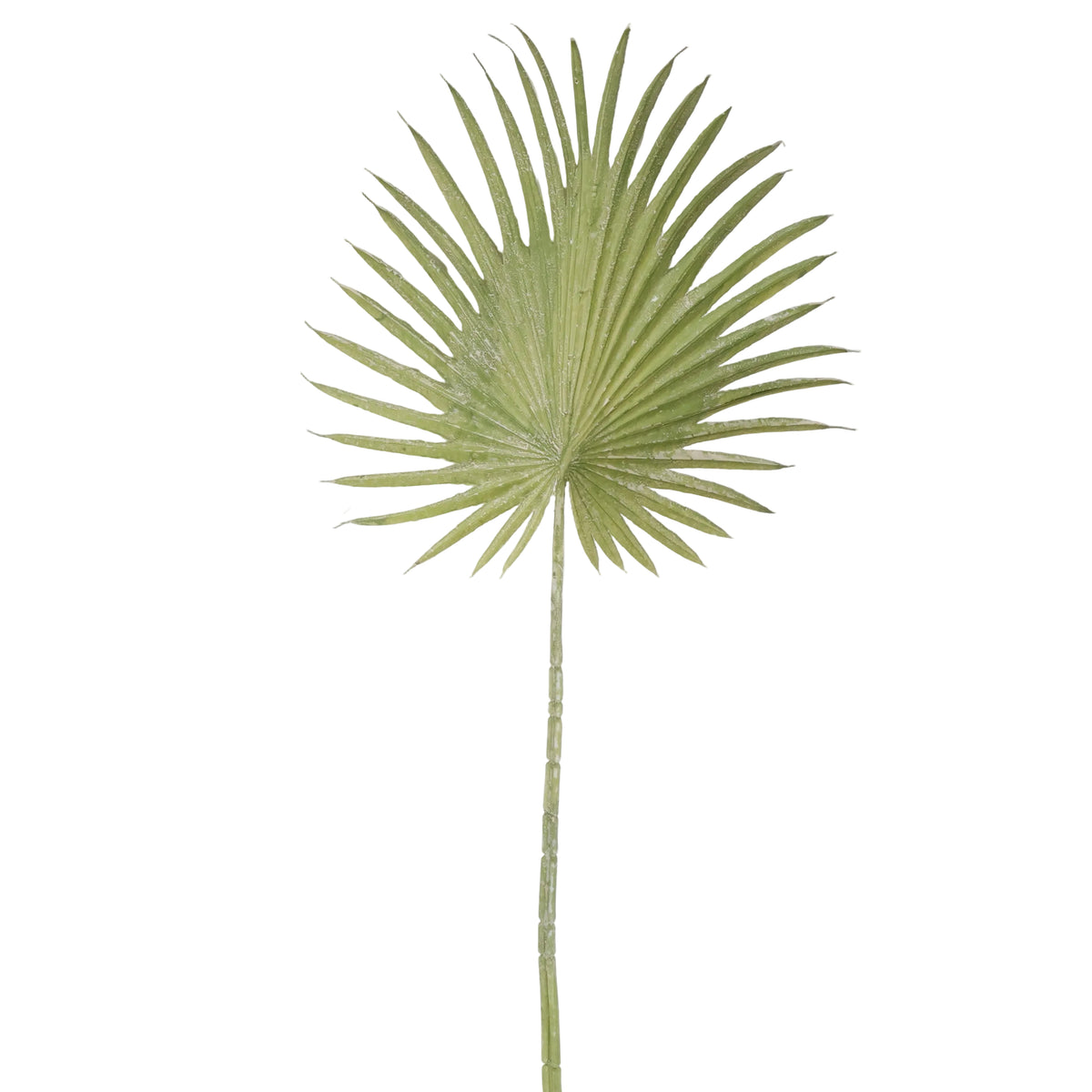 ABANICO VERDE