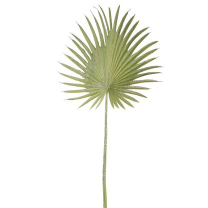 ABANICO VERDE