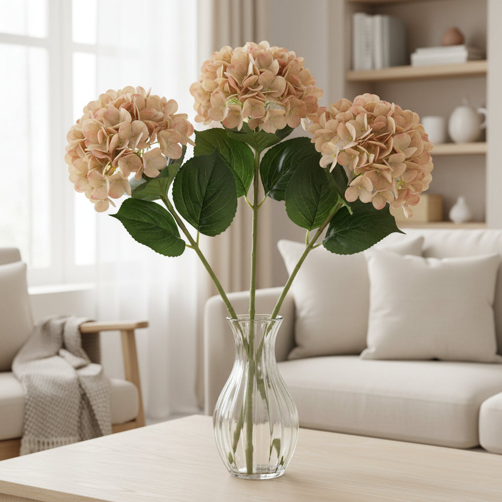 HORTENSIA CAFÉ