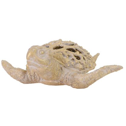 TORTUGA PERFORADO