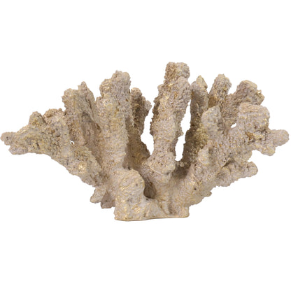 CORAL GRIEGO