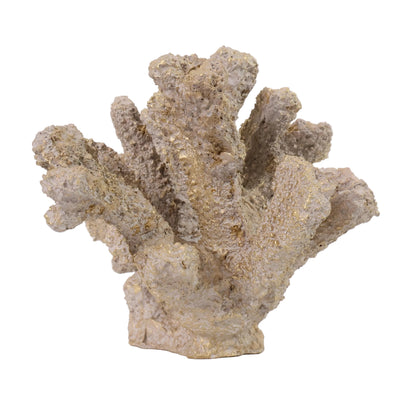 CORAL GRIEGO