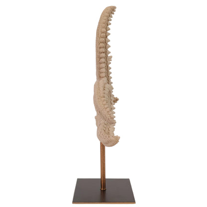 ESCULTURA ESTRELLA DE MAR
