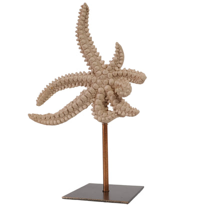 ESCULTURA ESTRELLA DE MAR